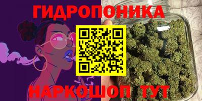ПСИЛОЦИБИНОВЫЕ ГРИБЫ Новокубанск