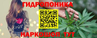 ПСИЛОЦИБИНОВЫЕ ГРИБЫ Новокубанск