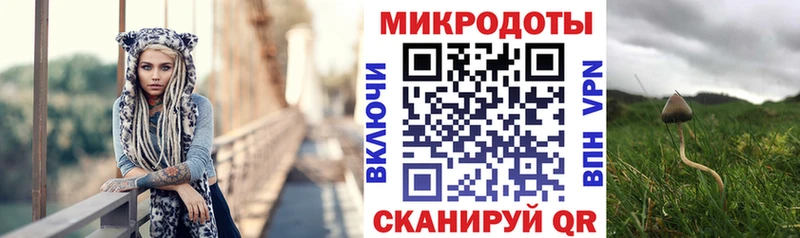 Псилоцибиновые грибы мицелий Череповец