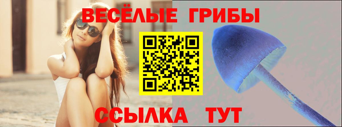 Череповец  Галлюциногенные грибы Cubensis  Вход с VPN 